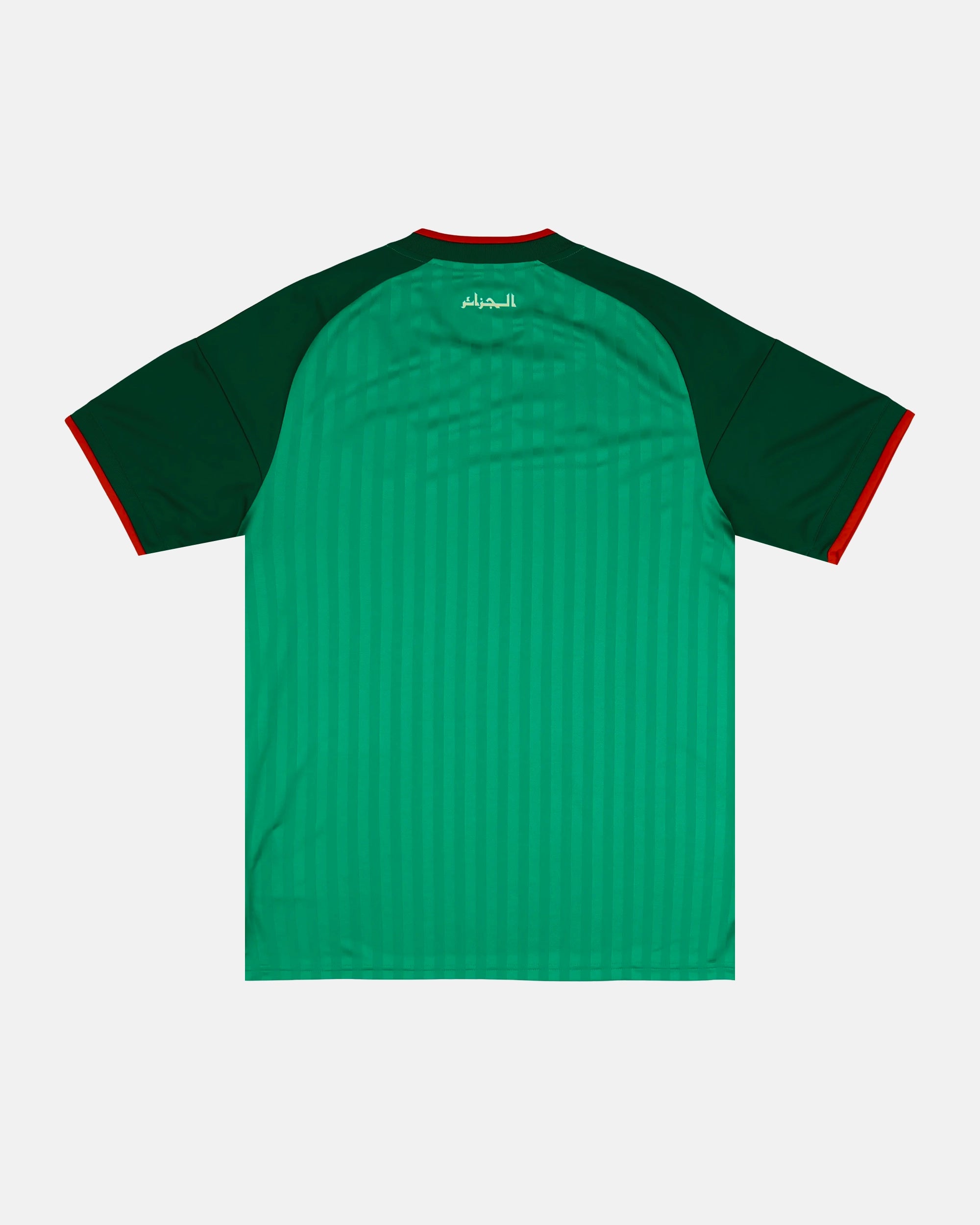 Full back view of the Algeria Concept Jersey, showing the clean emerald green base with tonal vertical stripes, classic collar, and athletic fit of this exclusive retro-inspired kit.