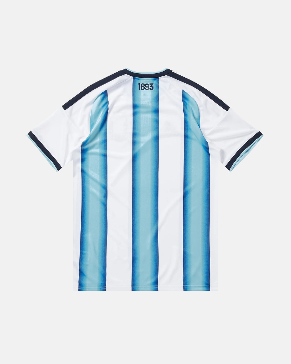 Argentina embroidered albiceleste 2026 concept jersey back view — 1893 detail — limited edition handcrafted in Paris and Versailles — VOLTA Sol de Oro Edition
