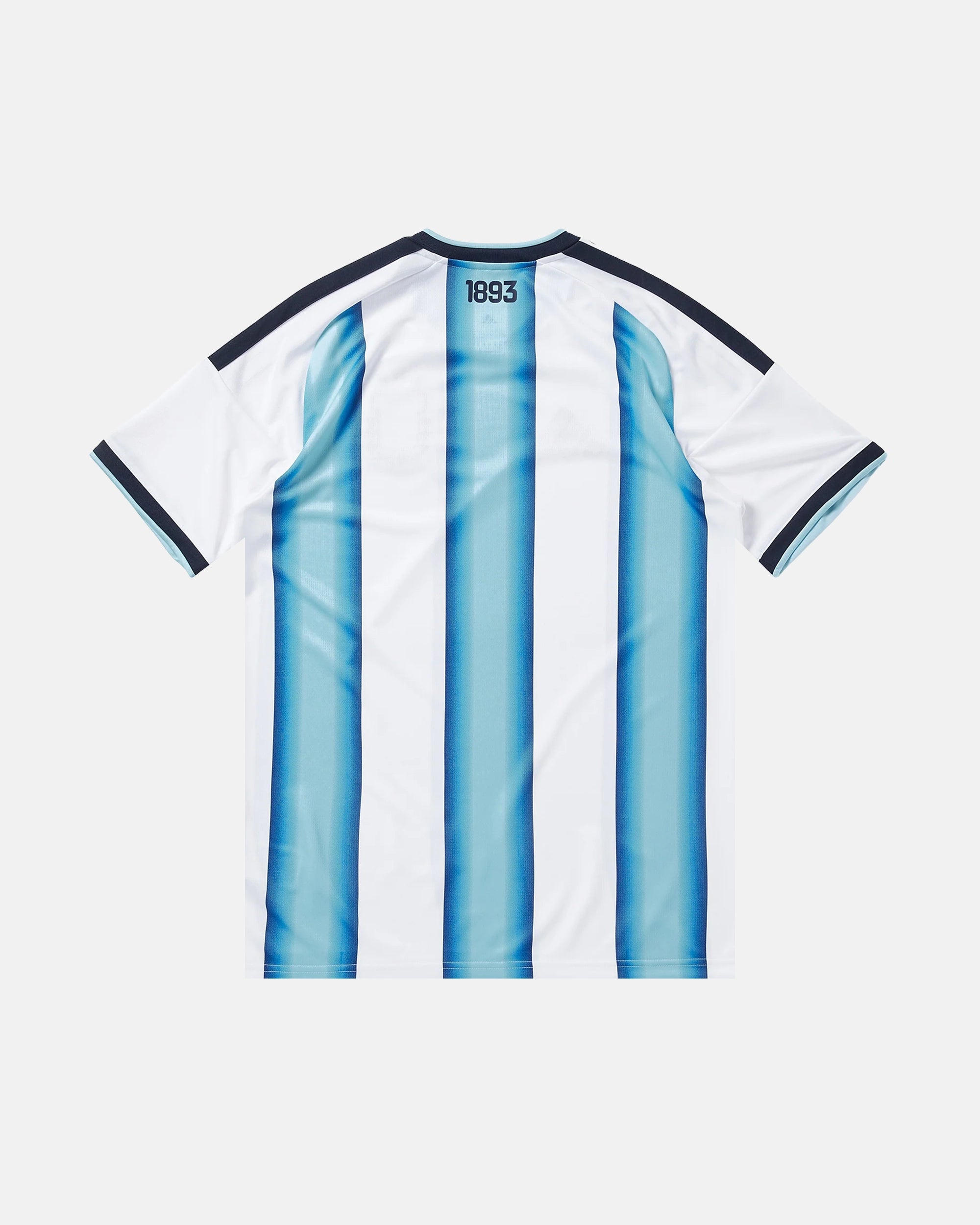 Argentina embroidered albiceleste 2026 concept jersey back view — 1893 detail — limited edition handcrafted in Paris and Versailles — VOLTA Sol de Oro Edition