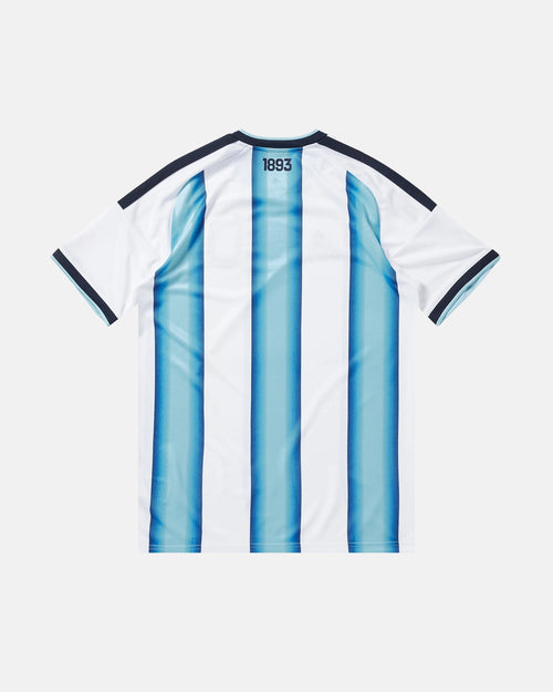 Argentina embroidered albiceleste 2026 concept jersey back view — 1893 detail — limited edition handcrafted in Paris and Versailles — VOLTA Sol de Oro Edition